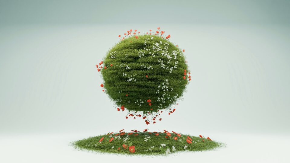 environmental responsibility