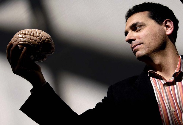 delayed gratification stress effects