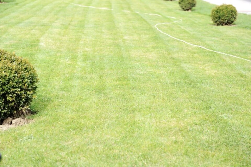 commercial property upgrades